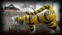 信貴山は寒かった &gt;_&lt;。