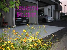 次期購入車種を考えるとねぇ…（注：殆どギャグです）