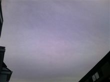 ちょっとだけ春を感じる「立春」の水曜日