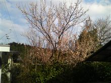 立春