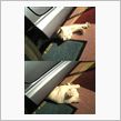 暖かい日は････(ええのう ...
