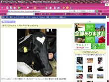 これも季節ネタ？