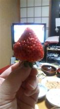 ウマイ！！(≧ω≦)ｂ