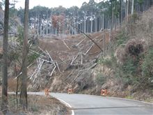 林道復活