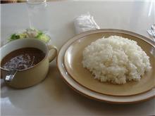 昨日はカレーの日