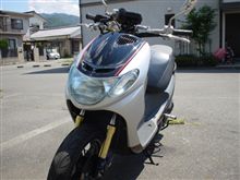日中ぽかぽか・・温暖化？