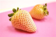 話題沸騰・・・