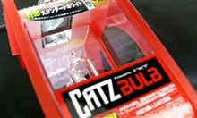 電球をポチッとな