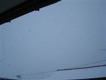 ２月８日　冬が戻って来たような感じだぞ、おはです～♪