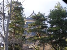 今朝はこの周辺にいました。
