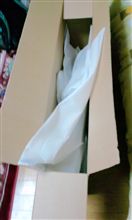 れいの物が