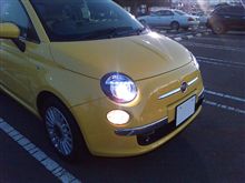 まゆげ・・・っぽい？