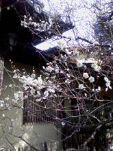 無知な私 でした