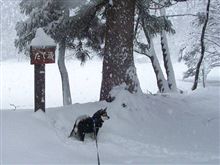 やはり深雪の西蔵王が楽しい..... 