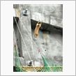 「崖っぷち犬」その後