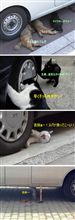 車弄り