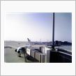 本日の成田空港２３