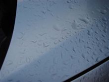 洗車したのに…