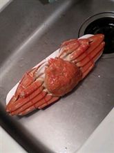 「きゃ～～変な生き物～～(汗；」　お食事中の人は見ないで下さい(笑)