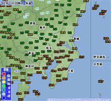春一番です