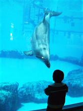 名古屋港水族館