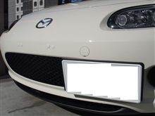 冬を忘れてしまいそう。