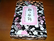 春の便りが家にも！