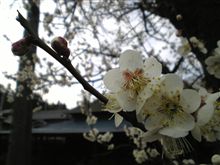 まだ2月なんですよね・・・