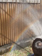 虹小僧