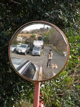 散歩日和