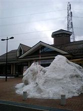 雪がぁ～っ(((゜д゜;)))
