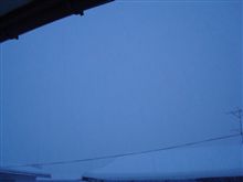 ２月１７日　激しく吹雪いてるの・・・、おはです～♪