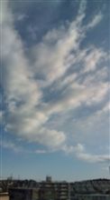 真冬再びの火曜日