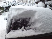 降りすぎ…