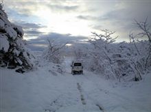 雪だ♪。::・&#176;ヽ(*⌒∇⌒*)ノ::・&#39;・。・&#176;