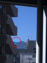見える！私にも見える！