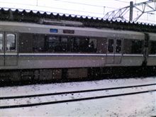寒かった