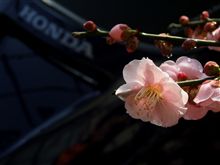 ポチッてしまいました^_^;