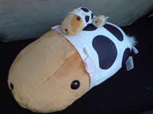 仲間が増えた