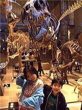 恐竜博2005に行って来ましたぁ! 恐竜博2005に行って来ましたぁ!