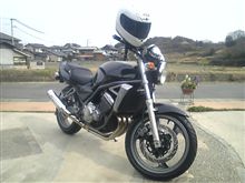 暴れ馬