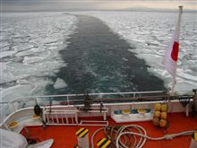 流氷観てきた