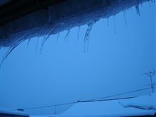 ２月２０日　またまたまた雪の朝、おはです～♪