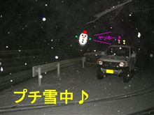 昨夜は久々に積りましたねぇ♪