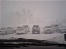 雪ですなぁ。