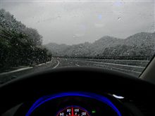 今日の早朝