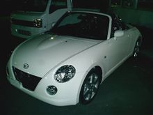 生まれたての姿(￣m￣* )ﾑﾌｯ♪