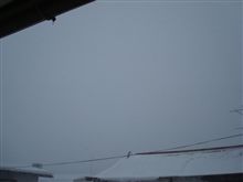 ２月２１日　冬の嵐だわ・・・、おはです～♪