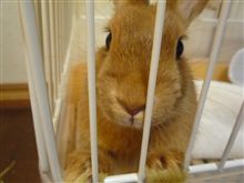実は改名してたんです。