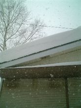 続報・雪の中